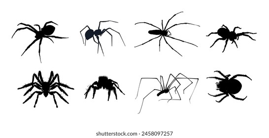 conjunto de siluetas de araña - Ilustración vectorial	
