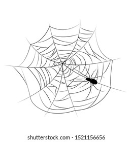 Set of spider web of different shapes with black spiders isolated, Halloween decorations, vector illustration