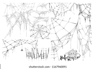 Set of spider web and text of holiday halloween. Isolated on white vector illustration