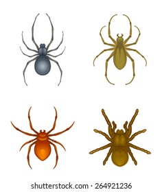 Set of spiders