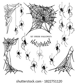 set with spiders in different angles and with a web