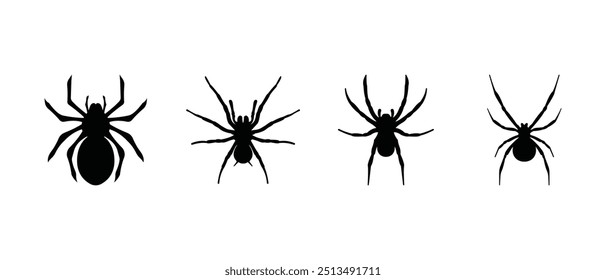 Set of spiders silhouette from biggest to smaller. Tarantula, black widow spiders vector icon.