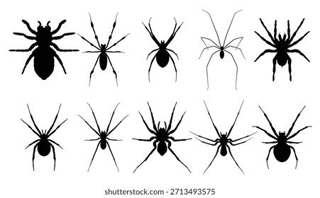 conjunto de aranhas silhueta vetor ilustração