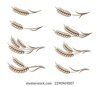 Set of spikelets of wheat, rye, barley. Brown design. Decor elements, logos, icons, vector	
