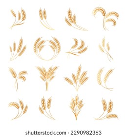 Set of spikelets of wheat, rye, barley. Brown design. Decor elements, logos, icons, vector	
