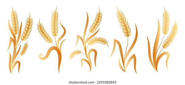 Set of spikelets of wheat, rye, barley. Brown design. Decor elements, logos, icons, vector	
