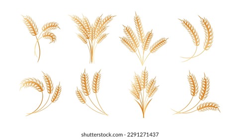 Set spikelets wheat 