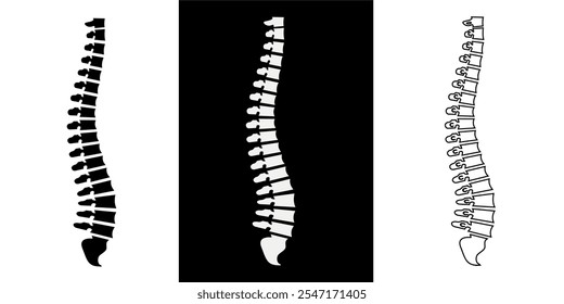 Conjunto de ilustrações de coluna vertebral em estilos de preto, branco e contorno.