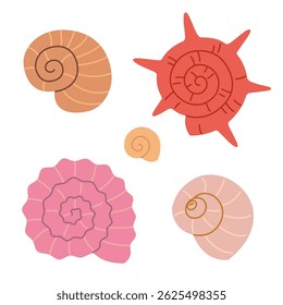 Conjunto de conchas redondas espirais, Architectonicidae, Colloniidae em cores pastel. Variedades lisas, estriadas e enriquecidas. Moderno moderno vetor isolado ilustração, desenhado à mão, plano