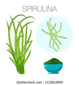 Set of spirulina algae, tablets, pills, powder and cells on white background. Arthrospira seaweed dietary supplement image.