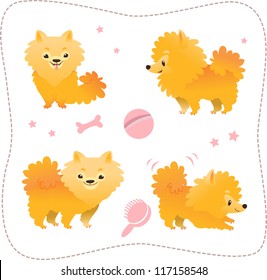 Set of spitz puppies