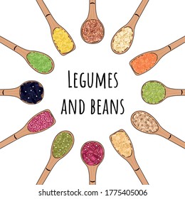 Löffel mit Bohnen und Leguminosen. Draufsicht. Runder Rahmen. Chickpea, Nierenbohne, Mung, Soja, Linsen, Puffbohnen, Adzuki, Limabohnen. Bio gesunde Lebensmittel. handgezeichnete Vektorgrafik