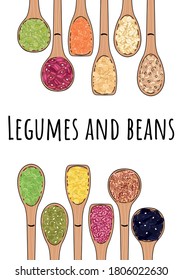 Set of spoons with beans and legumes. Top view. Border food frame. Chickpea, kidney bean, mung, soy, lentils, pinto beans, adzuki, lima beans. Organic healthy food. Hand drawn vector illustration