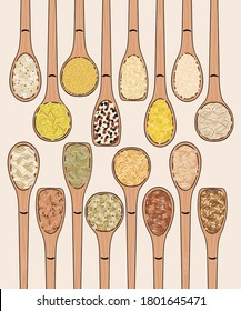 Set of spoons with grains and cereals. Top view. Kitchen, cooking poster. Barley, wheat, buckwheat, oats, corn, quinoa, millet, bulgur. Organic food. Hand drawn vector illustration