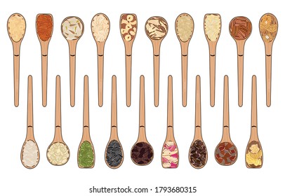 Set of spoons with nuts and seeds. Top view. Kitchen, cooking poster. Cashews, almonds, pistachios, walnuts, pumpkin, sunflower seeds. Organic food. Hand drawn vector illustration