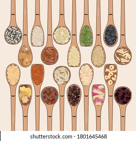 Set of spoons with nuts and seeds. Top view. Kitchen, cooking poster. Cashews, almonds, pistachios, walnuts, pumpkin, sunflower seeds. Organic food. Hand drawn vector illustration