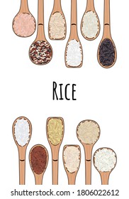 Juego de cucharas con arroz. Vista superior. Marco de alimentos de borde. Sushi, marrón, parboilado, jazmín, rojo, arborio, salvaje, basmati, rosematta. Alimentos orgánicos saludables. Ilustración vectorial dibujada por mano
