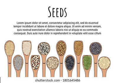 Set of spoons with seeds. Top view. Border food frame. Pumpkin and sunflower seeds, chia, poppy, flax, quinoa, mustard, hemp, pine nuts. Organic healthy food. Hand drawn vector illustration