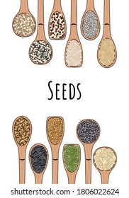 Menge Löffel mit Samen. Draufsicht. Grenz-Lebensmittelrahmen. Kürbis- und Sonnenblumenkerne, Chia, Mohn, Flachs, Quinoa, Senf, Hanf, Kiefernnüsse. Bio gesunde Lebensmittel. handgezeichnete Vektorgrafik