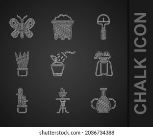 Set Spraying plant, Plant pot on table, Vase, stand, Cactus peyote, Shovel and Butterfly icon. Vector