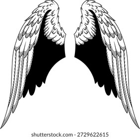 Set of spreading angel wings isolated on white background.