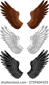 Set of spreading wings isolated on white background.