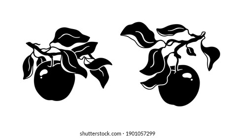 Set of sprig with garden apple, leaves. Hand drawn silhouette clipart. Black simple illustration for farm product packaging. Botanic print, tattoo, poster. Flat isolated vector, white background
