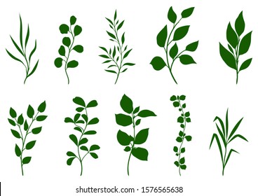 Set of sprigs with green leaves. Decorative natural plants.