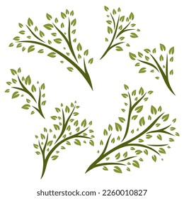 Set of sprigs with green leaves. Decorative plants.