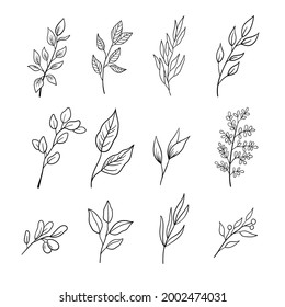 Set of sprigs with leaves. A collection of different leaves on branches in outline style. Vector illustration isolated on white background