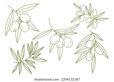 A set of sprigs with olives. Simple icons in doodle style. Vector illustration isolated on white background.