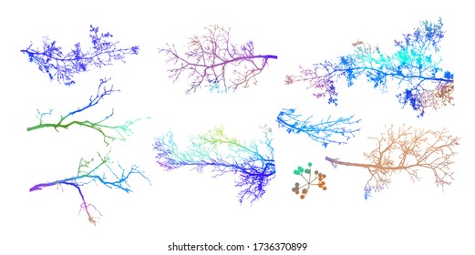 Un conjunto de brotes de árboles sin hojas. Medios mixtos. Ilustración del vector