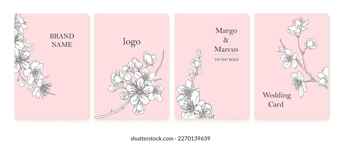 Set of spring backgrouds with sakura branch. Cherry blossoms. Design for card, wedding invitation, cover, packaging, cosmetics. Pink and white colors.