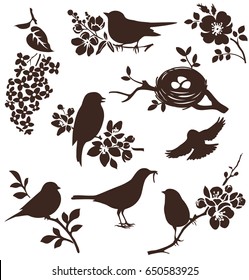 Set of spring bids and floral twigs. Vector silhouettes of birds and flowers