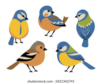 Conjunto de pájaros primaverales, lindo teta azul y finca. Pájaros de diferentes colores aislados en un fondo blanco. Ilustración vectorial al estilo de las caricaturas planas.