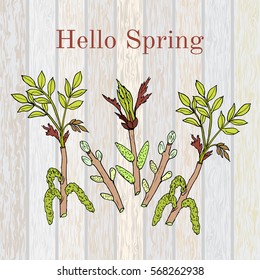 Set of spring blooming branches with leaves and buds. Hand-drawn vector illustration