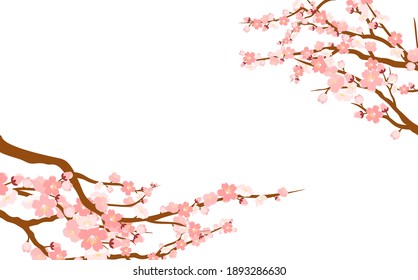 Set of spring blooming tree branches, tree branch with pink flowers. Sakura or cherry.