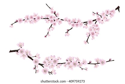 Set of spring blooming tree branches, tree branch with pink flowers. Sakura or cherry.