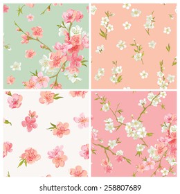 Fondo de Flores de Flor de Primavera - Patrones Chic de Shabby Floral sin Marea - en vector