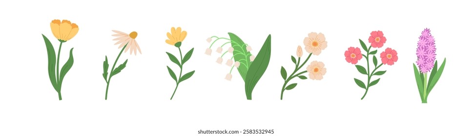 Set of spring blossom flowers vector illustrations. Hand draw style