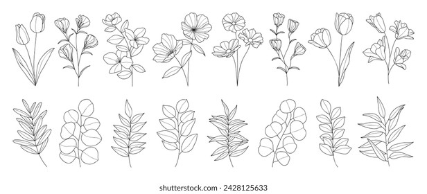 Establecer elemento vector dibujado a mano botánico de primavera. Colección de follaje, rama de hoja, floral, flores, eucalipto en arte de línea.