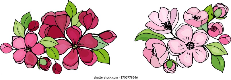 Conjunto de flores de manzana ramo primaveral objetos aislados sobre fondo blanco. Conjunto vectorial colorido con contorno negro para el diseño de temporada.