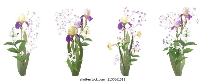 Set of spring bouquets: iris, daffodil, narcissus, gypsophila, jasmine. Realistic flowers and small twigs on white background. Digital draw illustration in watercolor style, panoramic view, vector