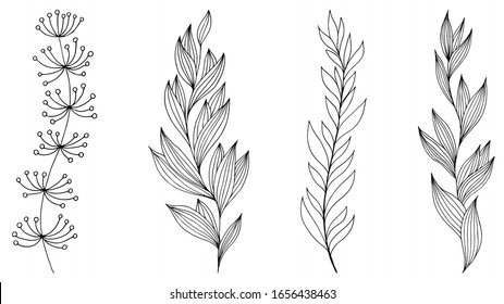 Set of spring branch in hand drawn style, great design for any purposes. Romantic design. Vector sketch. Beautiful illustration. Spring decoration. Beautiful hand drawn branch. Doodle illustration