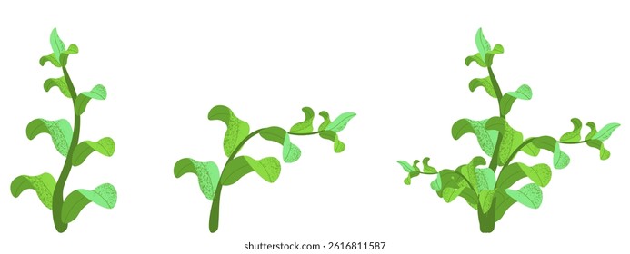 Set Spring branches with modern grunge Noise Texture. Spring plants isolated transparent background. Vector illustration with Grain Textured. Spring graphic collection. EPS 10 