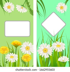 Set spring cards of floral flowers dandelions and daisies, chamomiles, grass backgrounds. Colorful spring vertical banners social media stories wallpapers. Vector illustration isolated