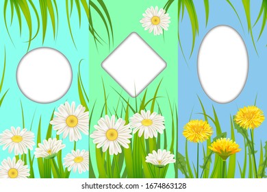 Set spring cards of floral flowers dandelions and daisies, chamomiles, grass backgrounds. Colorful spring vertical banners social media stories wallpapers. Vector illustration isolated
