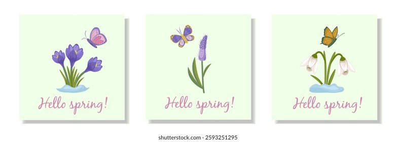 Set of spring cards with flowers and butterflies on a light green background. The first spring flowers are snowdrops and crocuses and purple celosia. Vector illustration.