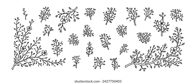 Set of spring cherry blossom branches. Japanese sakura flowers hand drawn sketch vector illustration. Lain art minimalist design element. Outline vintage botanical almond, apple, apricot in bloom