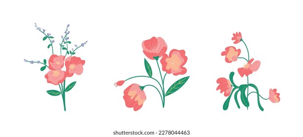 Flores de color primaveral. Colección de ramas de flores rosadas, ramo. Diseño de ilustración aislado en blanco para tarjetas de felicitación, Pascua, día de gracias. Juego de primavera, elementos dibujados a mano, boda.